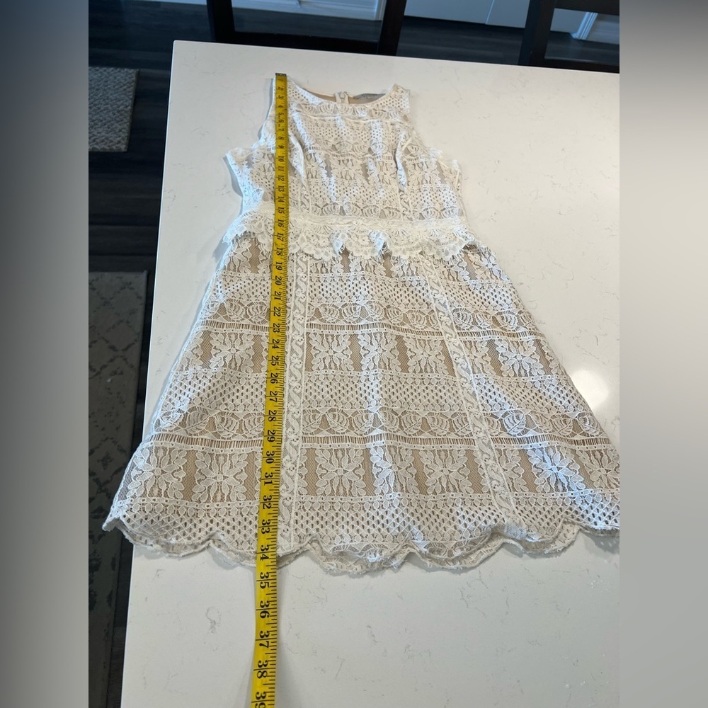All Saints Melia Lace Dress size 6 - Picture 16 of 16